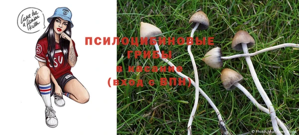 амф Арсеньев